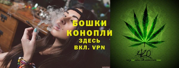 молекула духа Володарск