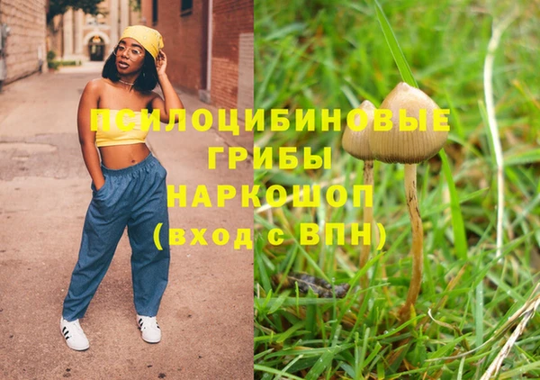 молекула духа Володарск