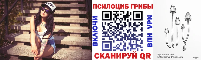 Псилоцибиновые грибы мицелий  Купить закладки  Чусовой 
